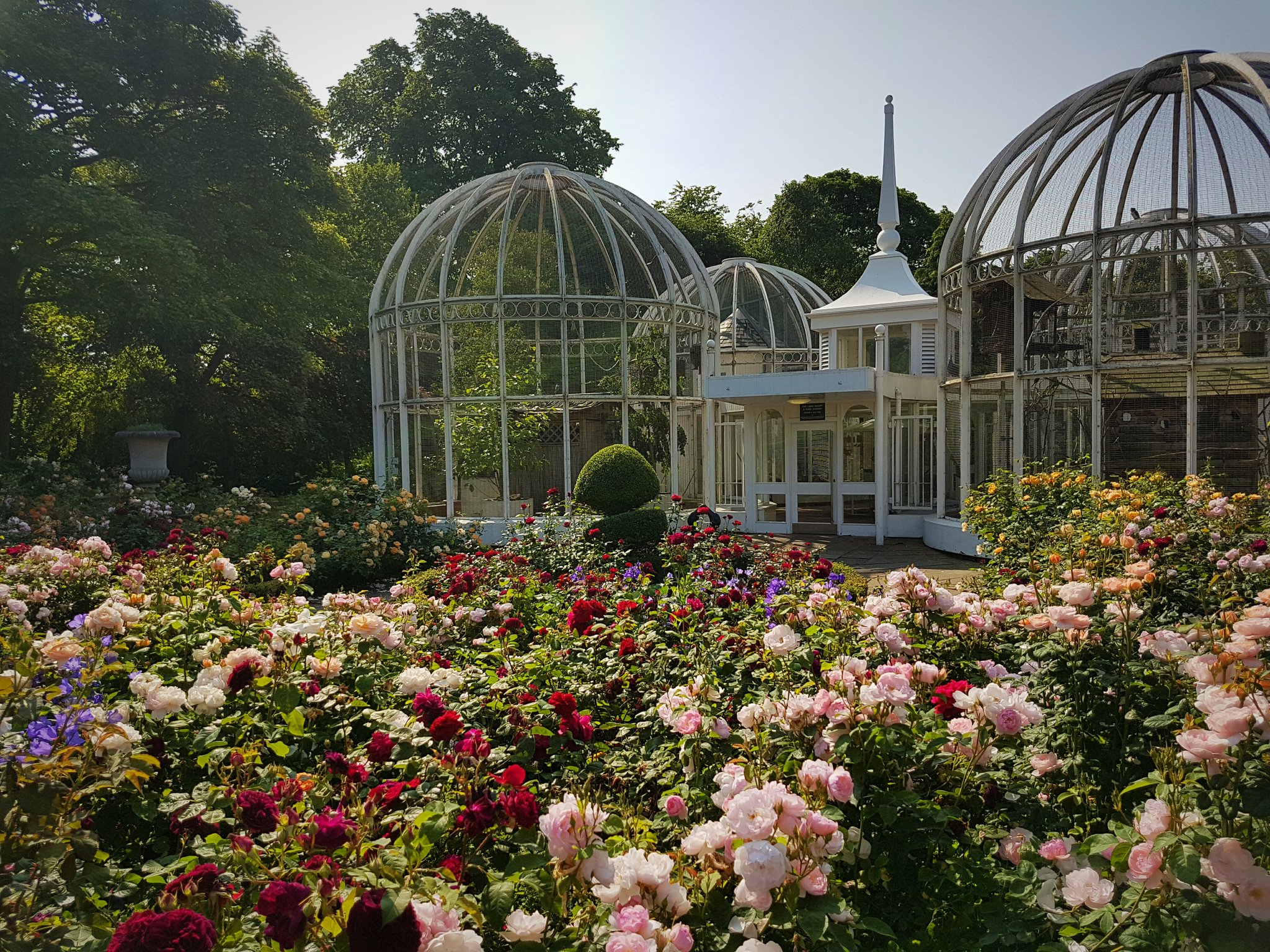 The Birmingham Botanical Gardens and Glasshouses - Historic and Botanic