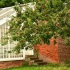 Calke Abbey Apples and vinery