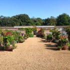 Holkham Walled Gardens 2