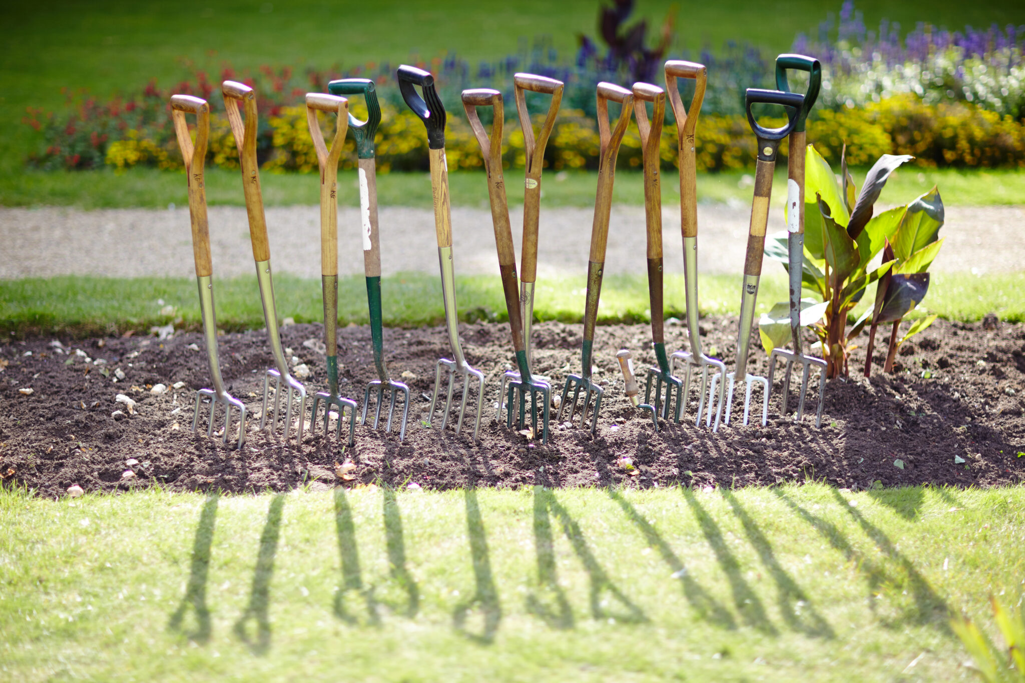 What S Coming Up In 2024 Historic And Botanic Garden Training Programme   Garden Folks At Audley End Scaled 