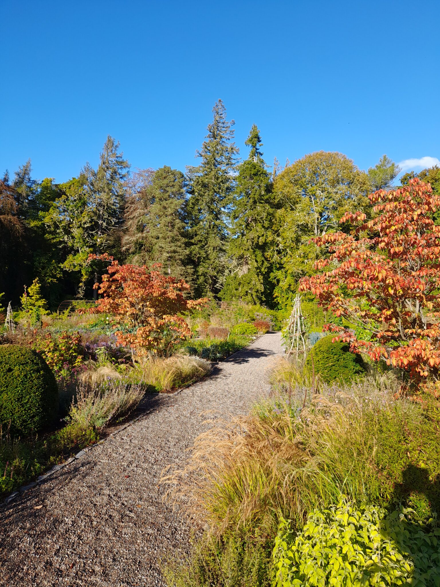 Autumn update 2024 - Historic and Botanic Garden Training Programme