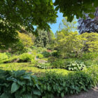 Hugh-Nettlefold-Alpine-Garden-2024-Birmingham-Botanical-Gardens-web