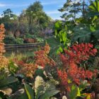 The Waterwheel Borders