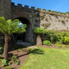 Walmer-Castle-Moat-2025